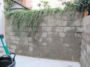 34728_10150236106090393_3142482_n