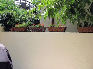 36345_10150236106470393_1562882_n