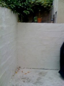 36640_10150236106315393_4901014_n